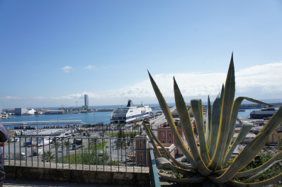 photo 262681
