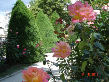 photo 279685
