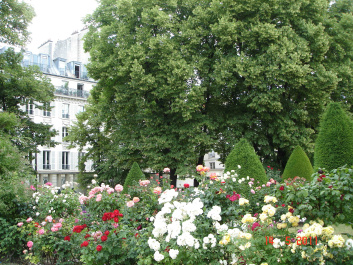 photo 279695