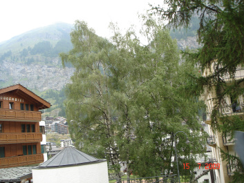 photo 286902