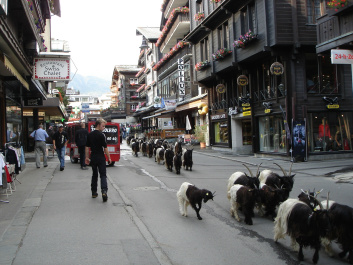photo 287345