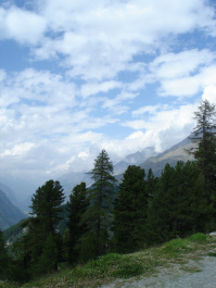 photo 287349