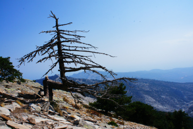 photo 286868