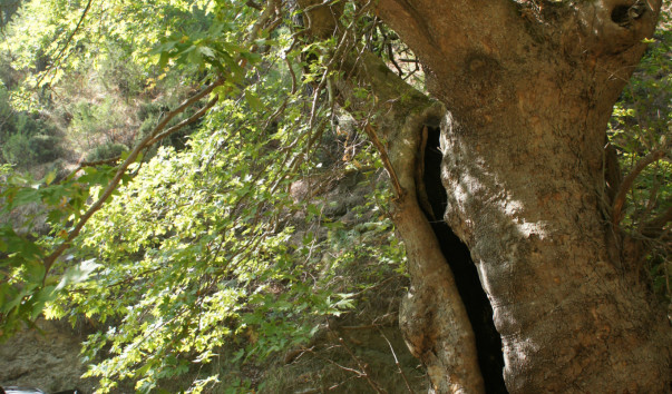 DSC05642