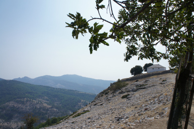 photo 286875