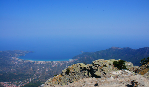 DSC05782