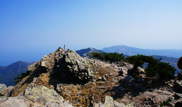 DSC05785