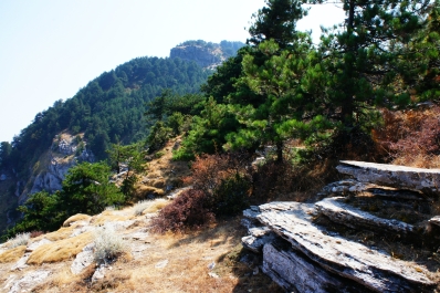 photo 897484