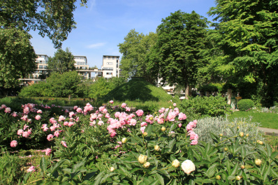 photo 298034