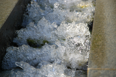 photo 298772