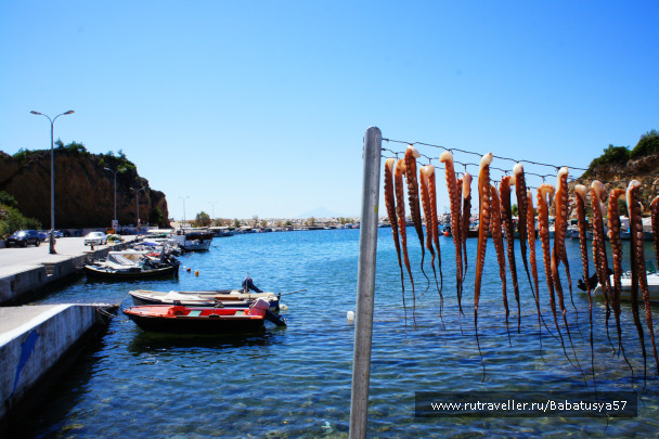photo 234543