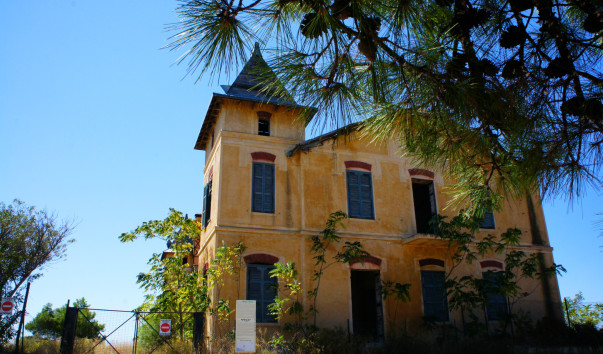 DSC04621