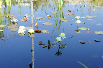 photo 248252