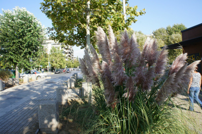 photo 310958