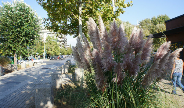 DSC06152