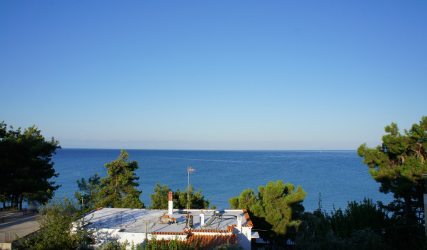 DSC04053