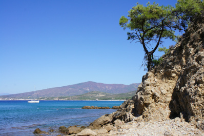 photo 234542
