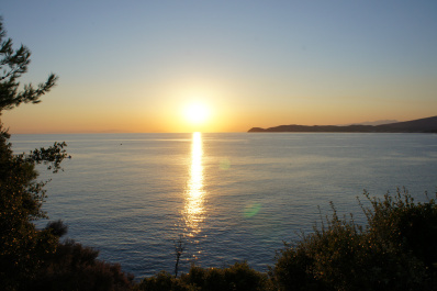 photo 333563