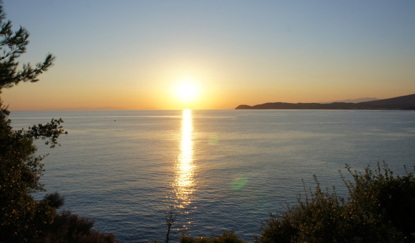 DSC04459