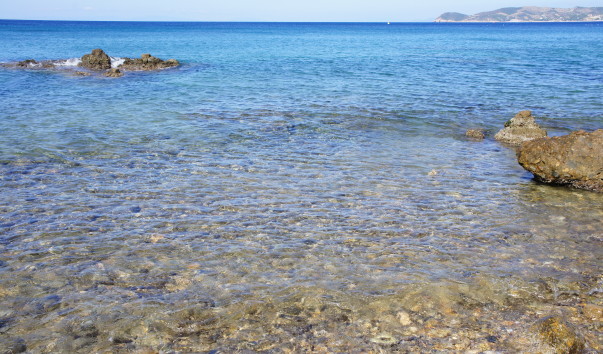 DSC04746