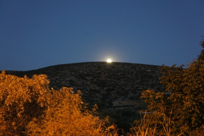 photo 673764