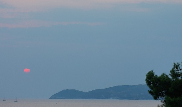 DSC05551