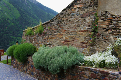 photo 477648