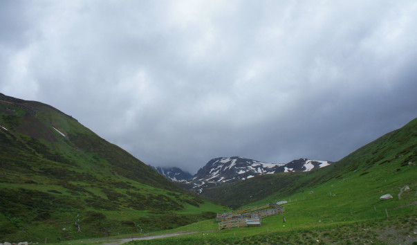 DSC08681