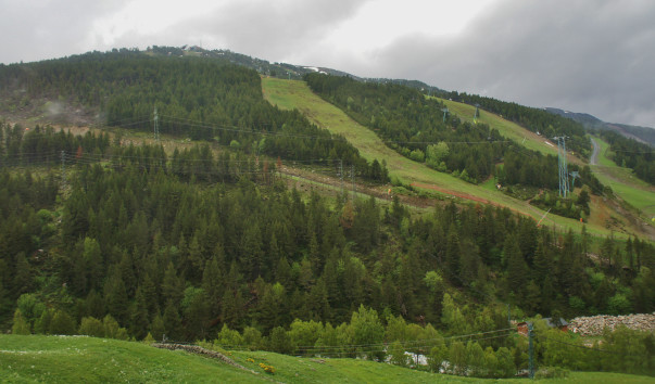 DSC08671