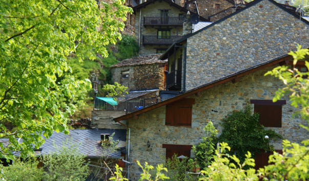 DSC08199
