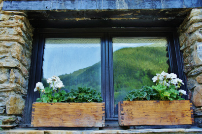 photo 409565