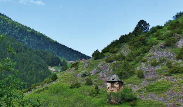 DSC08250