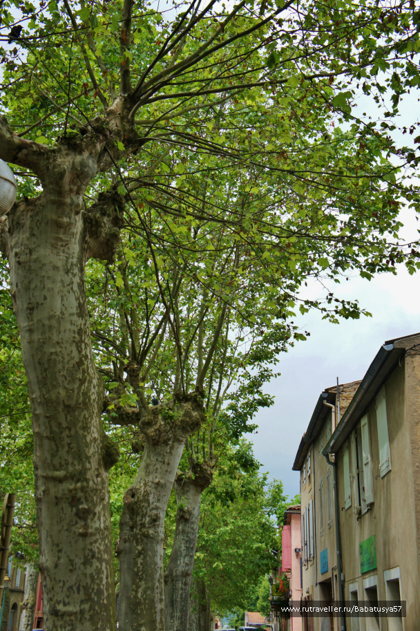 photo 690217