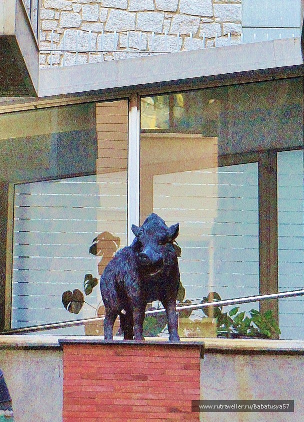 photo 1021421