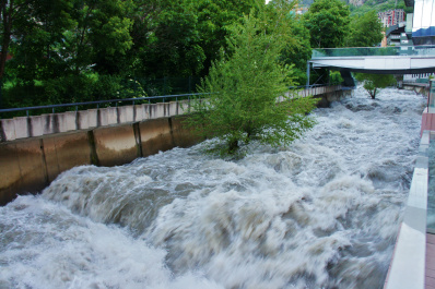 photo 412457