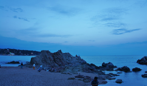 DSC06251