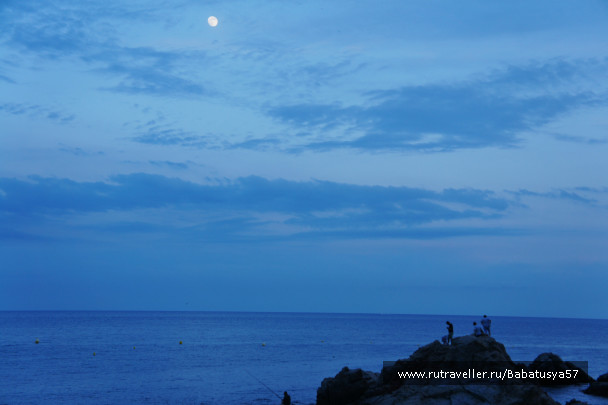 photo 431953
