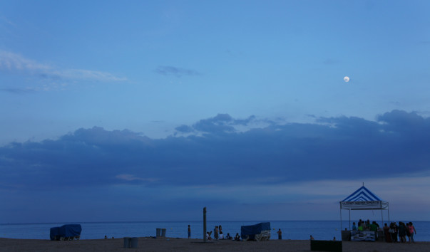 DSC06237