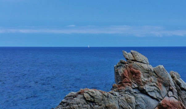 DSC06405