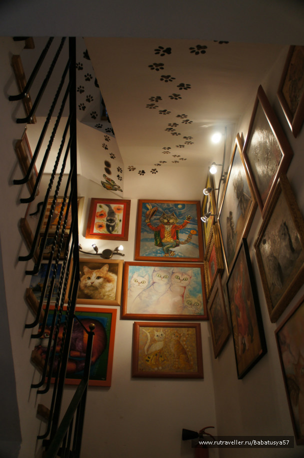 photo 553625