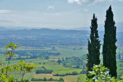 photo 435370