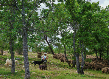 photo 489582