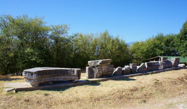DSC04881