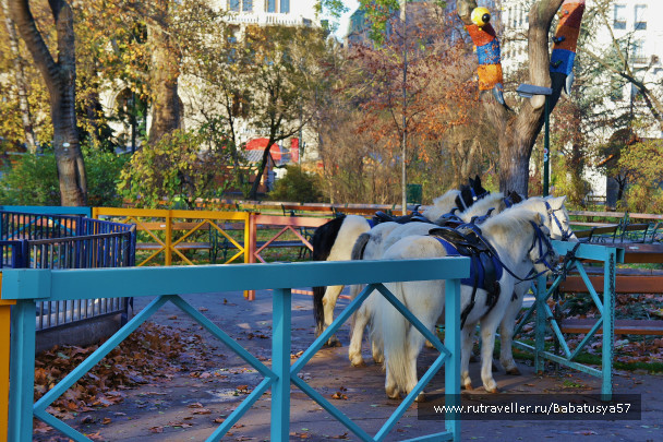 photo 641896