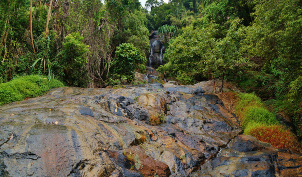 DSC05445