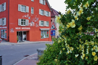 photo 886173