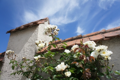 photo 841714