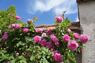 photo 841715