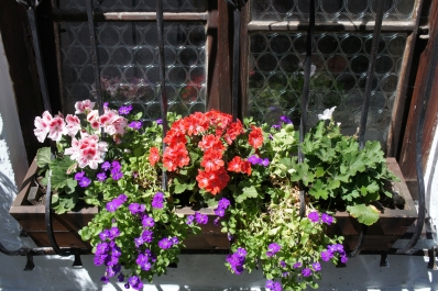 photo 843372