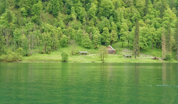 DSC01695